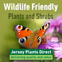 Jersey Plants FREE DELIVERY on EVERYTHING!